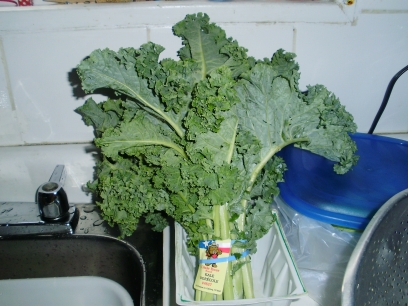 Kale bunch