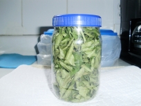 Storing dreid
          leaves