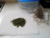 Dried thyme
